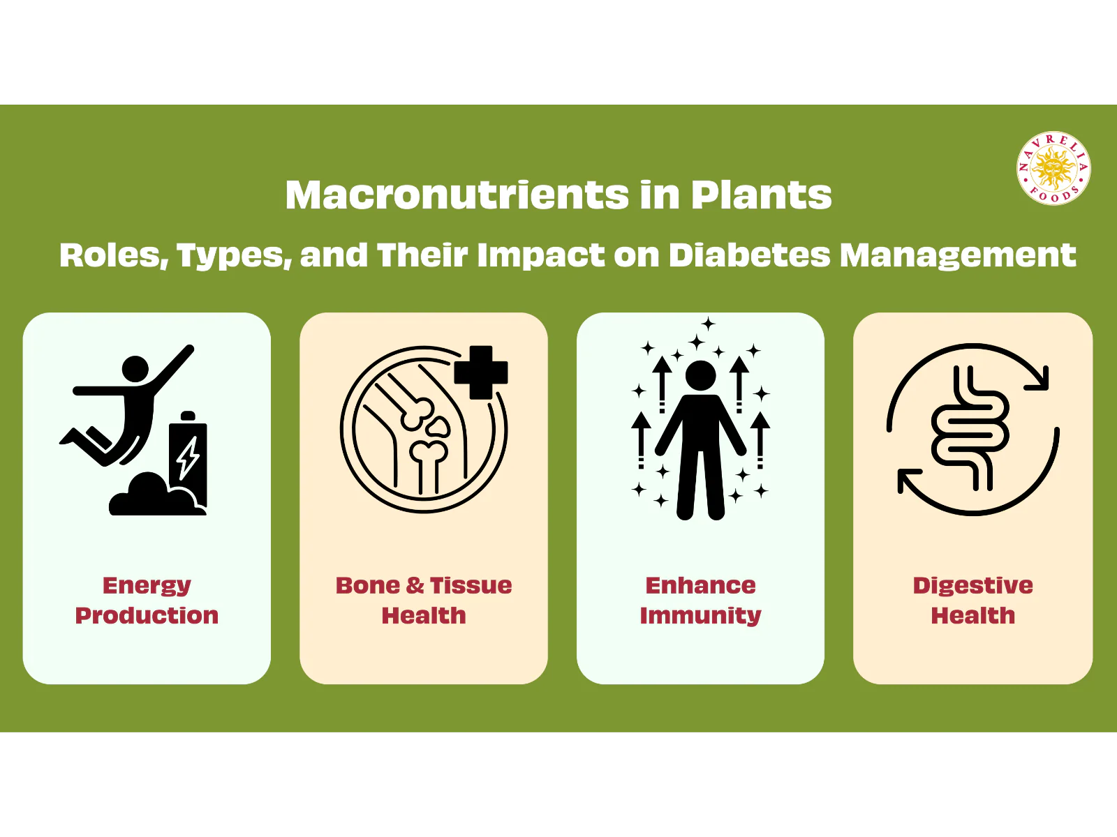 Macronutrients in Plants